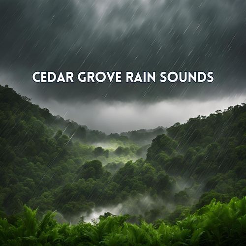 Cedar Grove Rain Sounds for Meditation, Relaxation, and Tranquil Forest Sleep