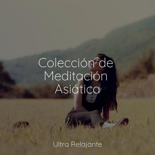 Soñando Por Ahora cover art
