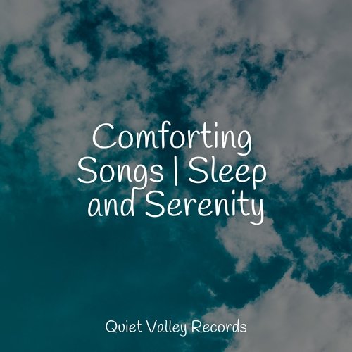 Comforting Songs | Sleep and Serenity_poster_image