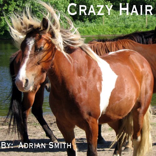 Crazy Hair_poster_image