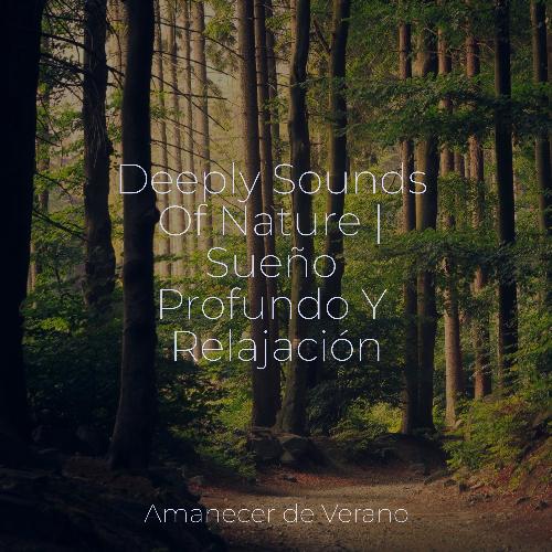 Deeply Sounds Of Nature | Sueño Profundo Y Relajación