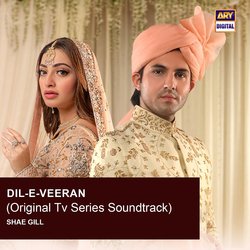 Dil-E-Veeran (Original TV Series Soundtrack)-FhAqXxpEc3o