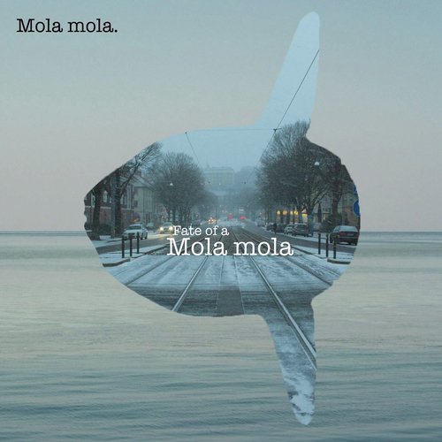 Fate of a Mola Mola_poster_image