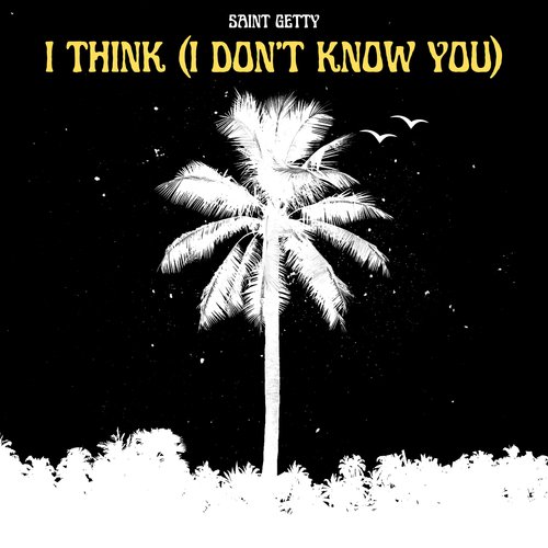 I Think (I Don&#039;t Know You)_poster_image