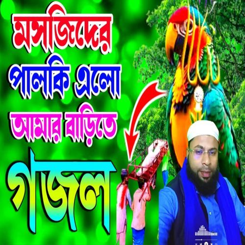 Masjider Palki Ailo Sad Gojol