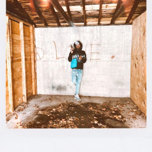 Mink cover art