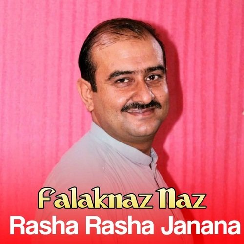 Pagal Zargi Manale De