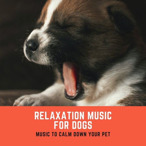 Dog's Lullaby cover art