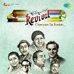 Tu Raat Khadi Thi Chhat Pe artwork