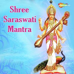 Shree Saraswati Mantra