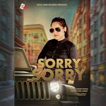 Sorry Sorry