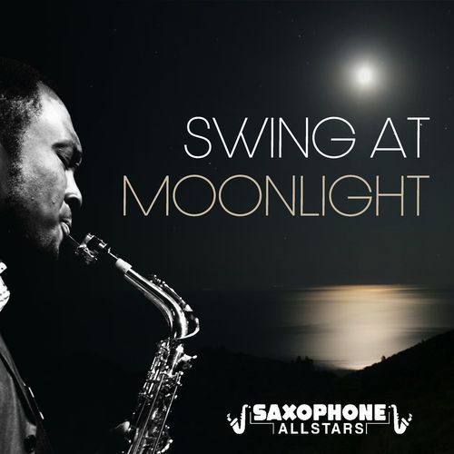 Swing at Moonlight_poster_image