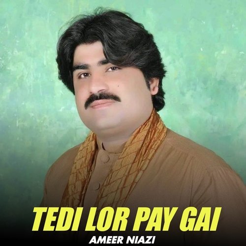 Tedi Lor Pay Gai