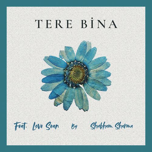 Tere Bina