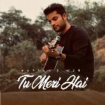 Tu Meri Hai (Unplugged Version)