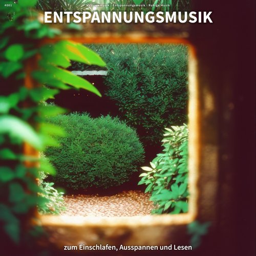 #001 Entspannungsmusik zum Einschlafen, Ausspannen und Lesen_poster_image