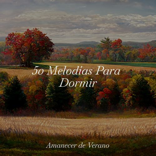 50 Melodías Para Dormir_poster_image