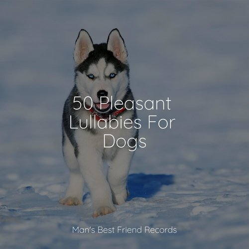 50 Pleasant Lullabies For Dogs