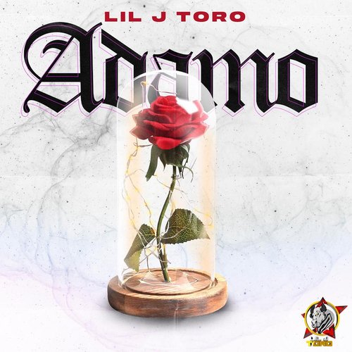 Adamo cover art