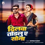 Dilwa Todlu Ye Sona