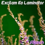 Excilam Ka Laminator