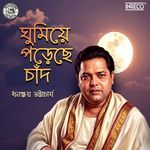 Ghumiye Porechhe Chand artwork