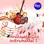 Hrudayara Gita Instrumental 1