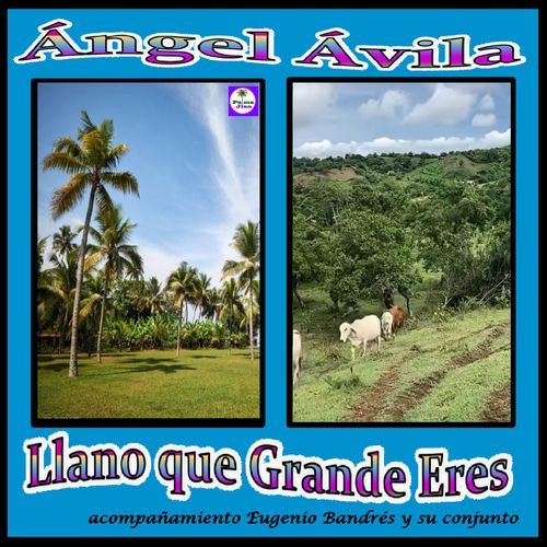 Homenaje a Arévalo Cedeño cover art