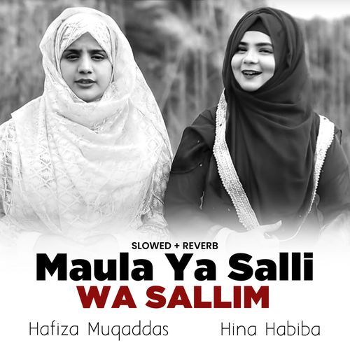 Maula Ya Salli Wa Sallim (Lofi-Mix)