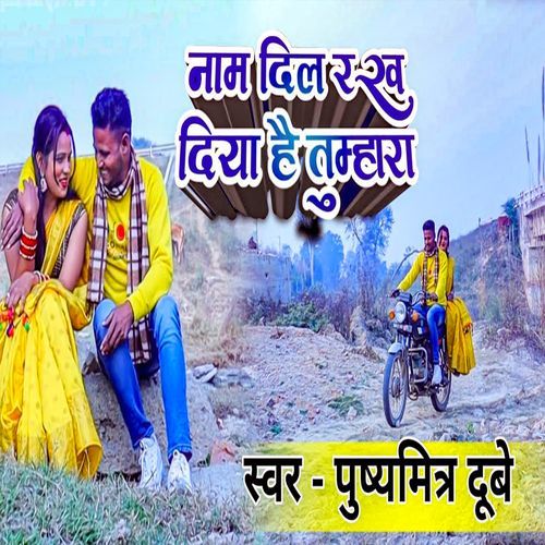 Naam Dil Rakh Diya Hai Tumhara