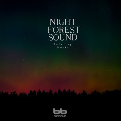 Night Sound with Jogging Forest