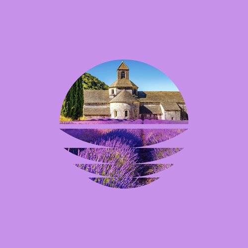 Olive Grove cover art