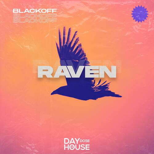 Raven_poster_image