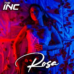 Rosa-JSoCexhGXQE