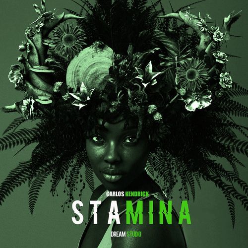 Stamina_poster_image