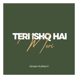 Teri Ishq Hai Meri-CjI5UysCYHw