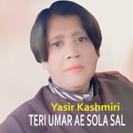 Teri Umar Ae Sola Sal