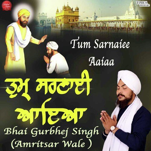 Tum Sarnaiee Aaiaa