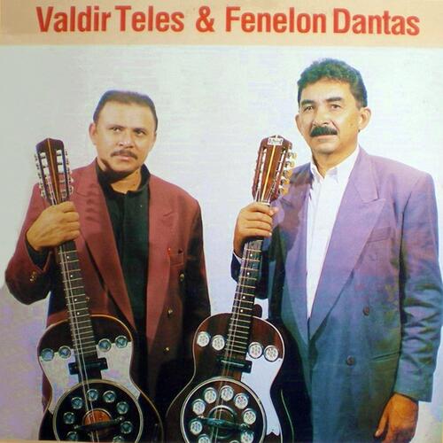 A enchente dos anos carregou cover art