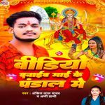 Video Banaib Mai Ke Pandaal Me