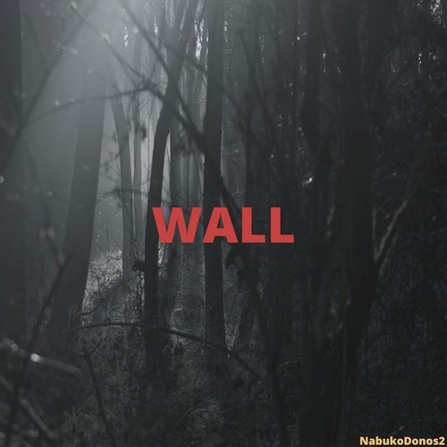 Wall cover art