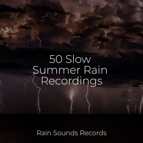 50 Slow Summer Rain Recordings_poster_image