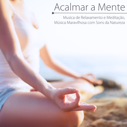Relaxamento & Musica para Dormir 101 cover art