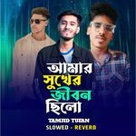 Amar Sukher Jibon Chilo (New Version)