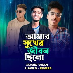 Amar Sukher Jibon Chilo (New Version)
