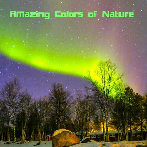 Amazing Colors of Nature