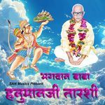 Bhagwan Baba Hanumanji Tarashi
