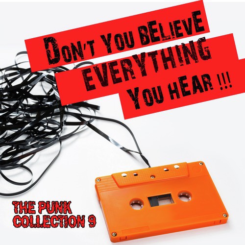 Don't You Believe Everything You Hear: The Punk Collection, Vol. 9