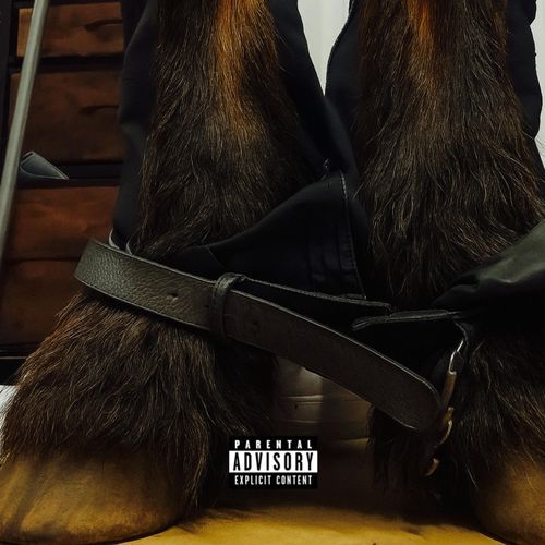 Horse Music cover art
