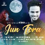 Jun Tora